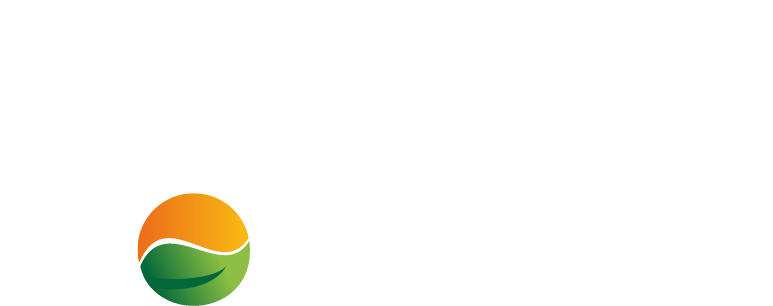 Conecte sua energia solar